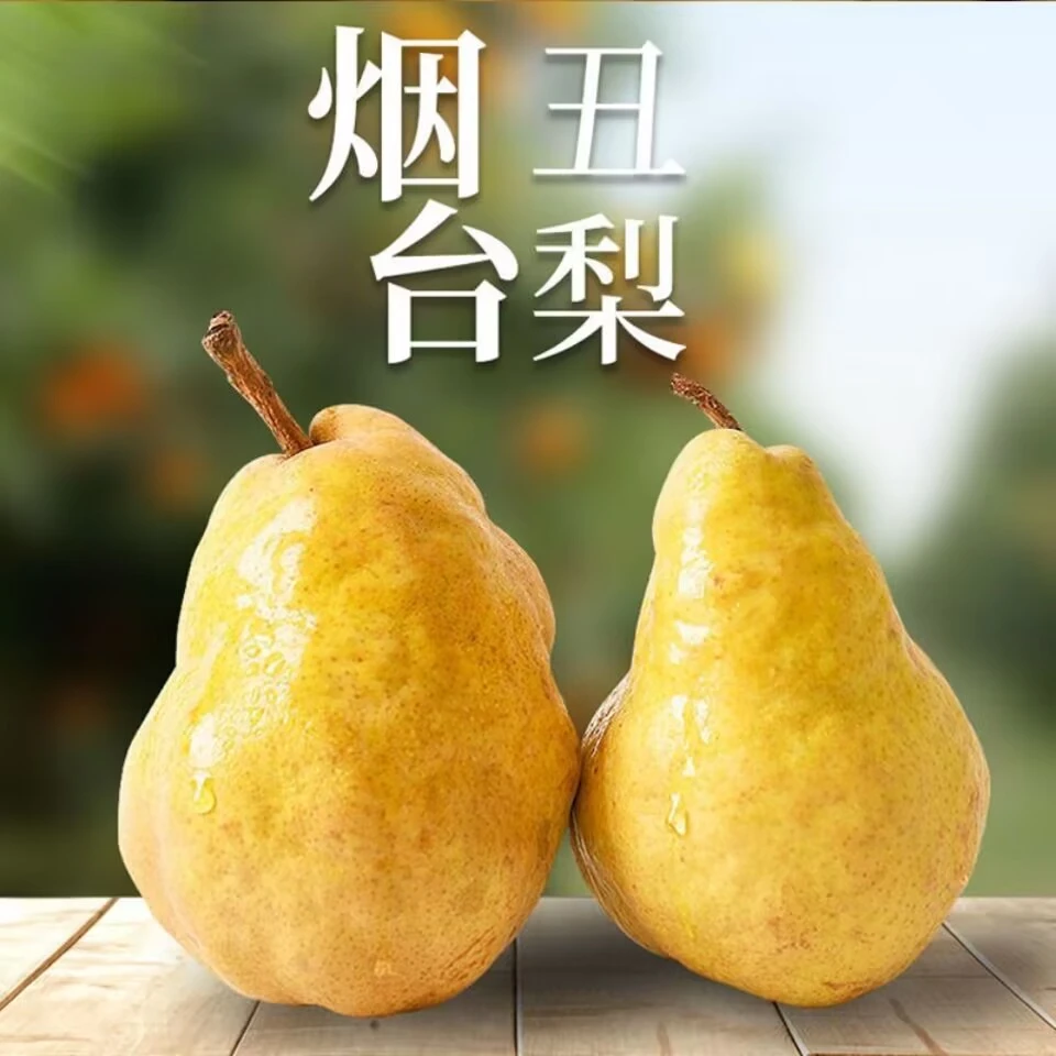 烟台中华丑梨新鲜太婆啤梨当季水果梨子软糯多汁苹果梨4.5-5斤