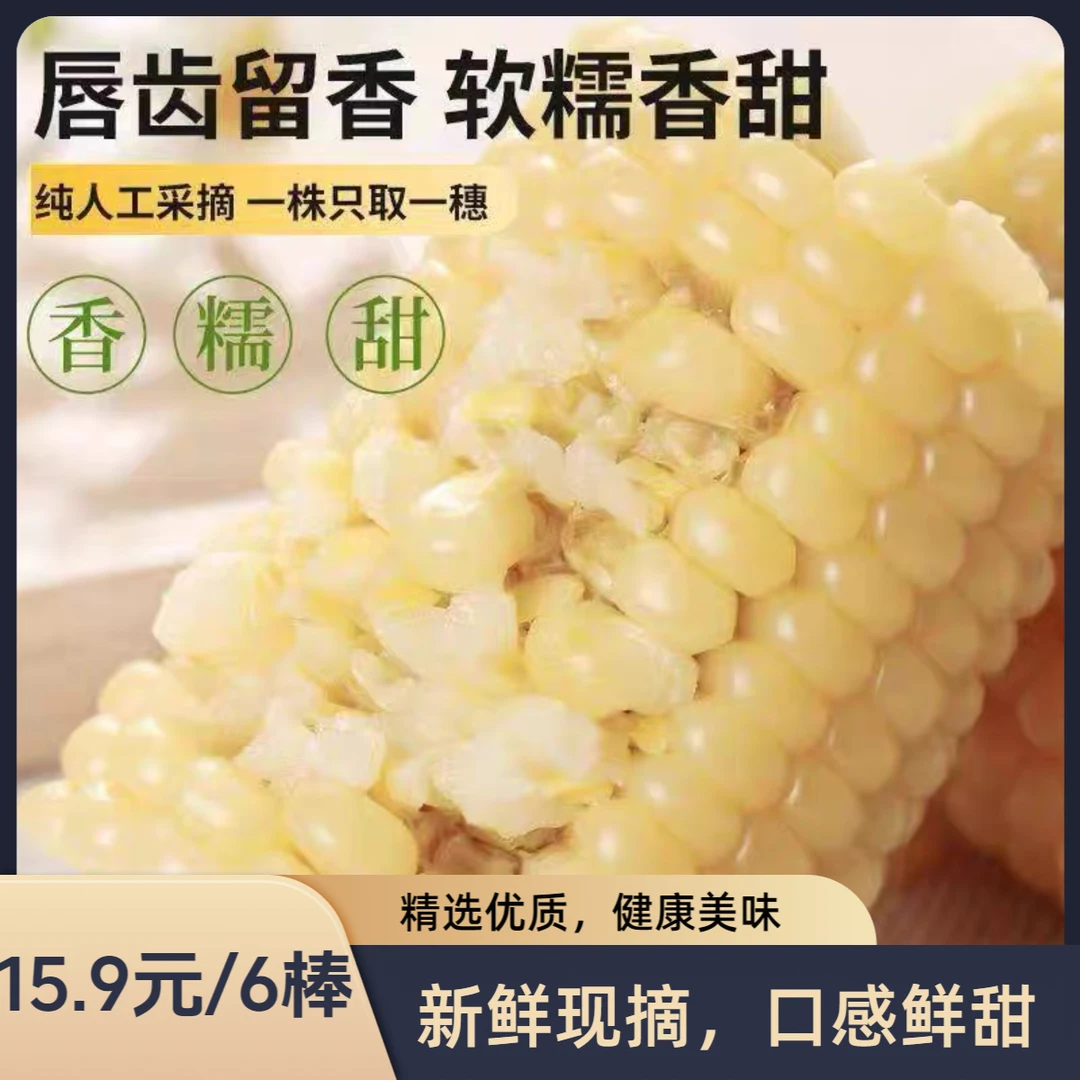 25年鲜食东北香甜粘糯玉米糯甜香软
