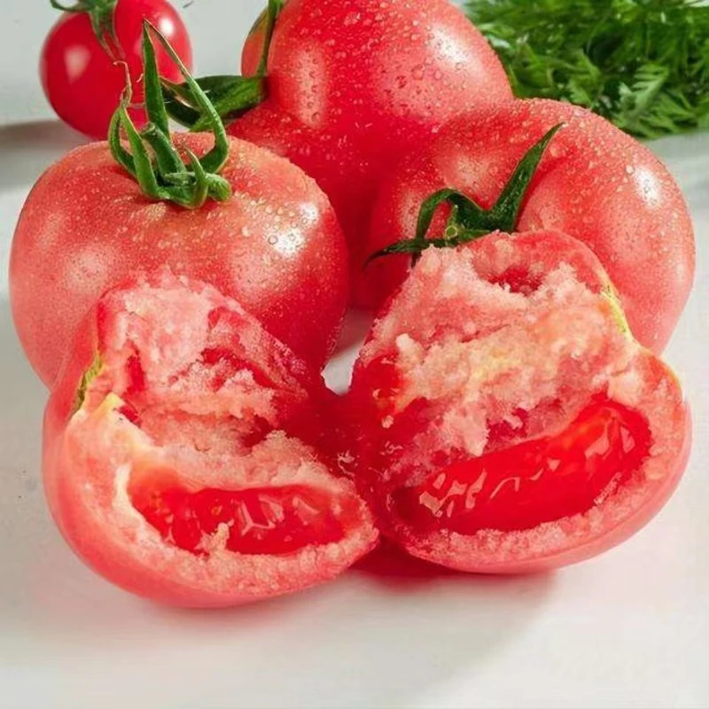 山东海阳普罗旺斯西红柿5斤装