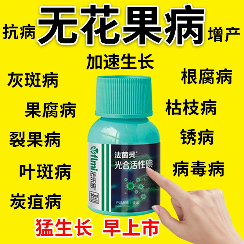 无花果专用肥料无花果杀菌剂锈病枯枝病炭疽病果腐病根腐病裂果病