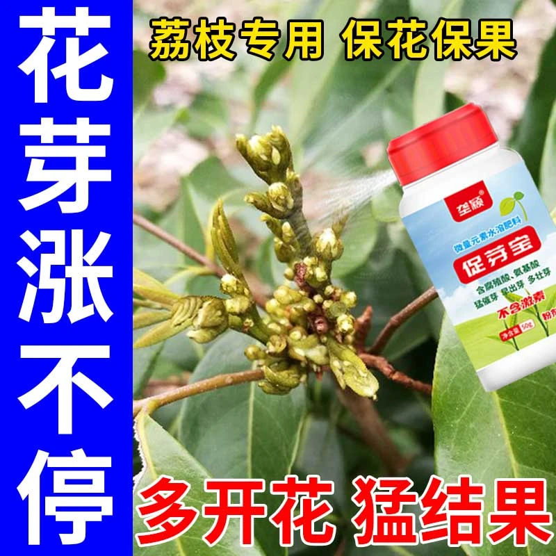 荔枝花芽分化素催花保果控梢控旺药果树花芽素促进细胞分裂叶面肥
