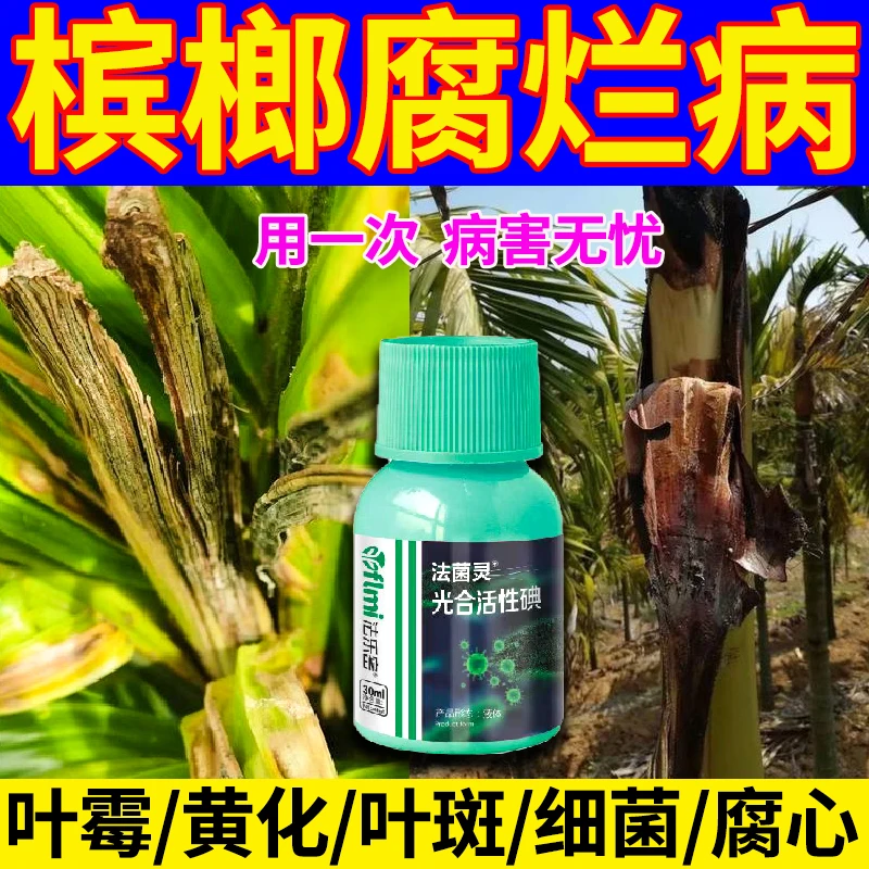 槟榔病全治专用杀菌剂槟榔病心腐病黄叶病叶斑病褐斑病炭疽病肥料