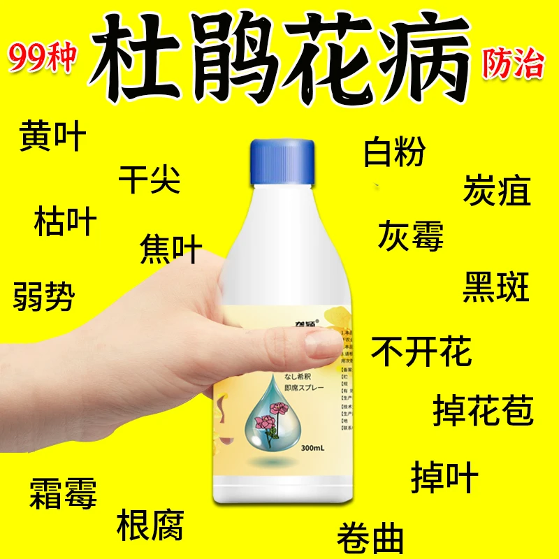 杜鹃花专用病菌杀防黄叶黑斑干枯不开花杀菌剂映山红通用