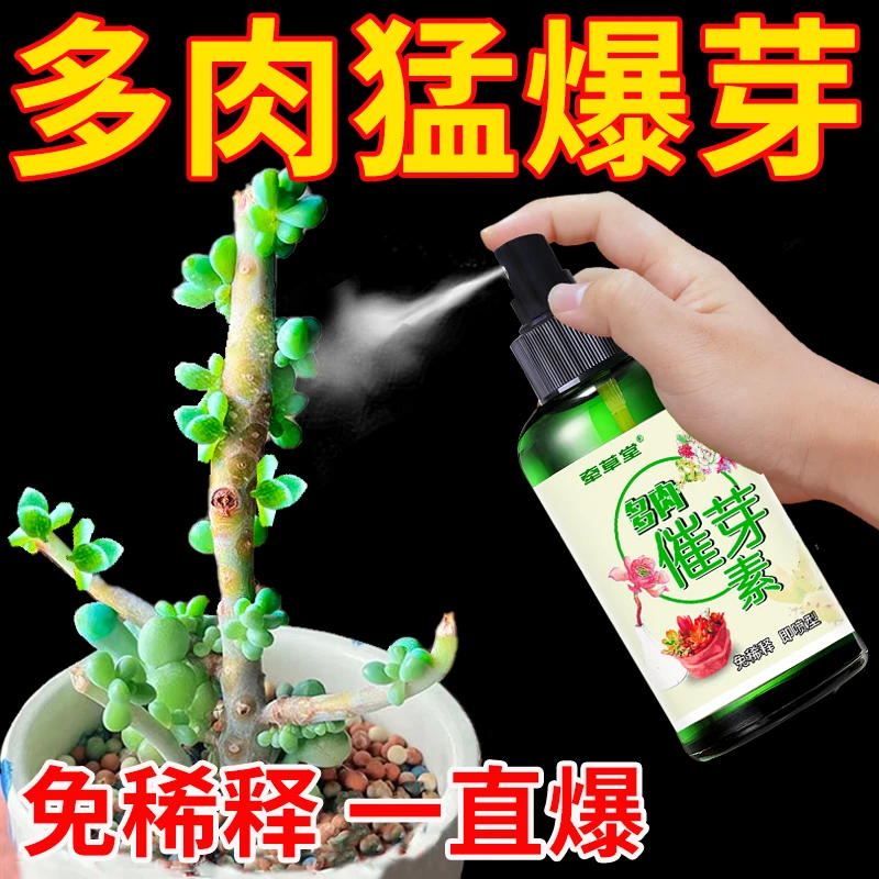 优芽素多肉专用肥料促生长催芽花卉植物发芽素矮胖素营养液爆芽素