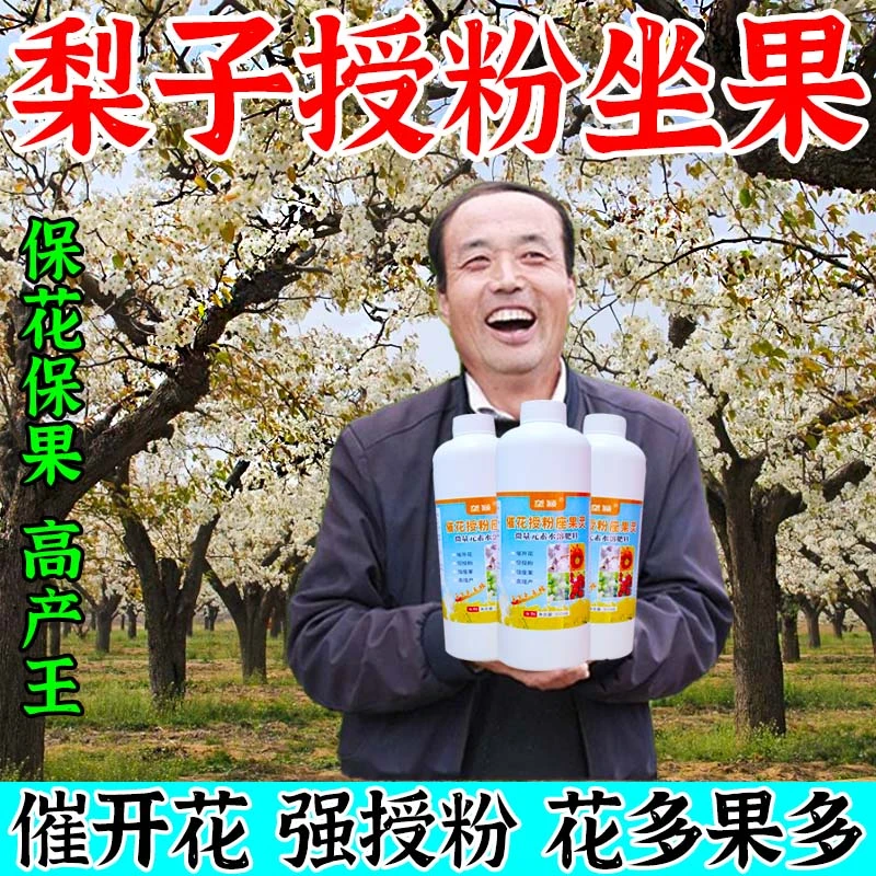 梨树保花坐果灵梨树专用肥料促花授粉保果素农用保花保果增产剂