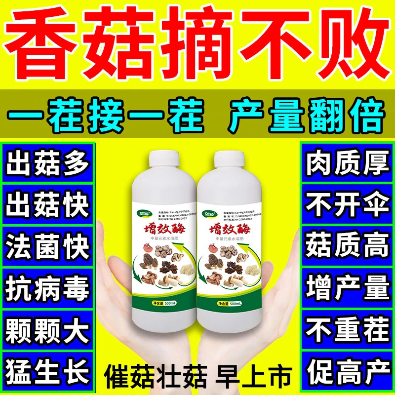 香菇专用肥【爆满棚】强力催菇王增效酶香菇菌棒营养液抗病增产素