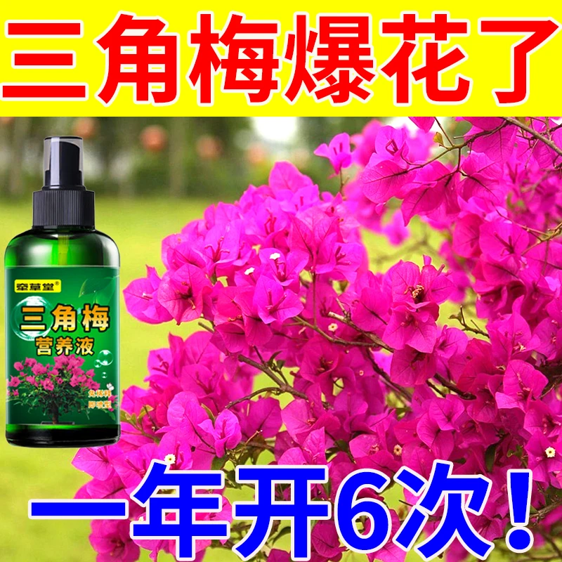 三角梅专用肥绿植物营养液养花通用型梅花盆栽家用花卉促开花通用