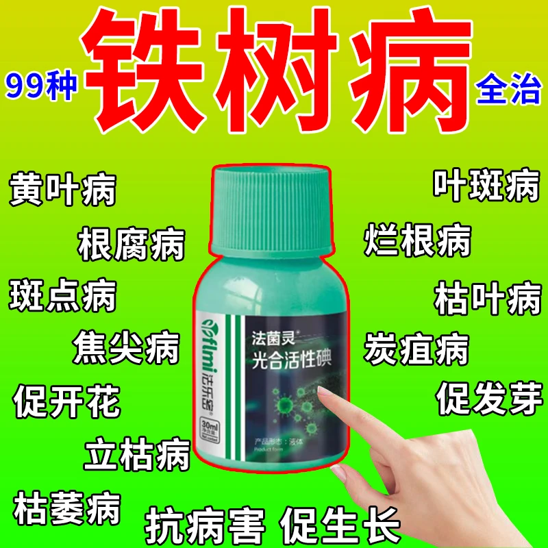 铁树病全治铁树专用杀菌剂黄叶干尖烂根枯萎叶斑家用免稀释营养液