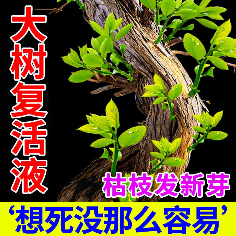 大树成活营养液大树复活灵生根液果树移栽种植扦插快速生根壮苗肥