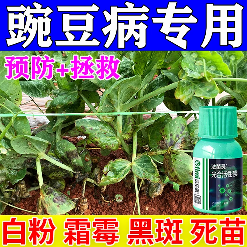 豌豆专用肥豌豆病全治烂根白粉病菌核病软腐霜霉病灰霉农用杀菌剂