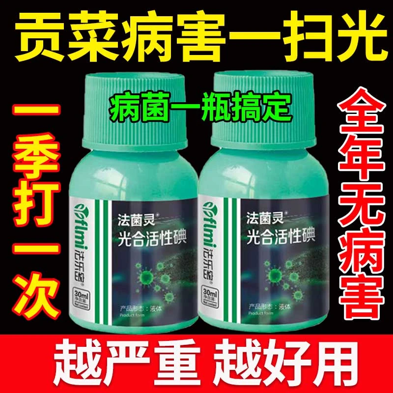 贡菜专用杀菌剂贡菜病全治黄叶病软腐病叶枯病霜霉病通用水溶肥