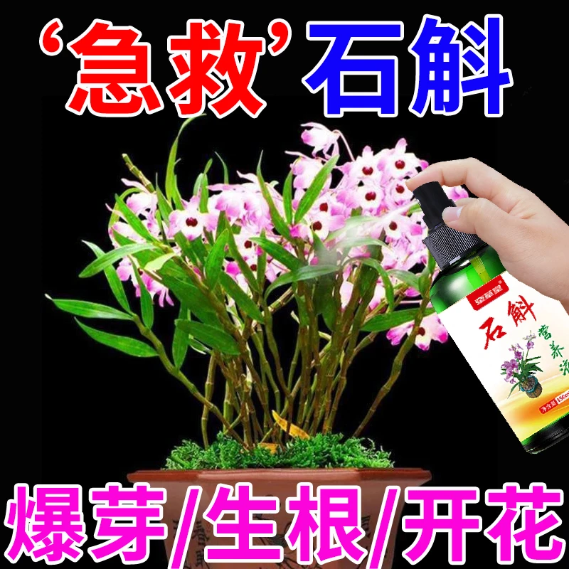 石斛兰专用肥料铁皮石斛防枯黄叶通用底肥盆栽生根壮苗催花营养液