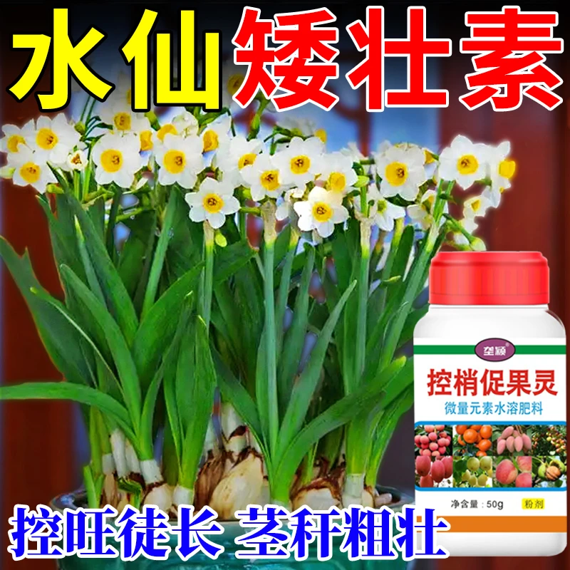 矮壮剂植物壮矮素水仙花多肉矮胖素花卉通用营养液控旺生长调节剂