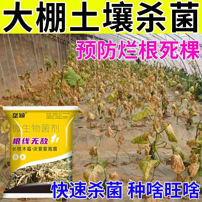 大棚蔬菜土传病强力杀菌消毒调理土壤抗重茬根腐死棵病土壤杀菌剂