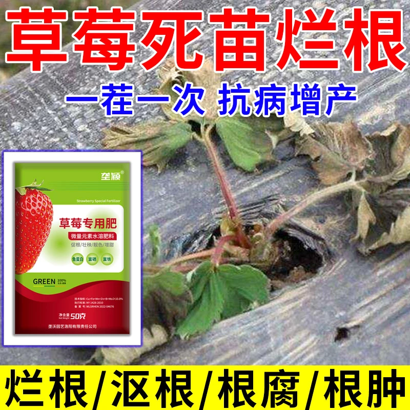 草莓专用肥料草莓病全治死苗烂根不开花落花烂果僵苗病通用增产肥