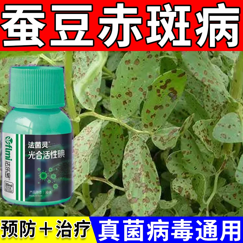 蚕豆病全治蚕豆专用杀菌剂立枯赤斑根腐病锈病白粉病病毒病叶面肥