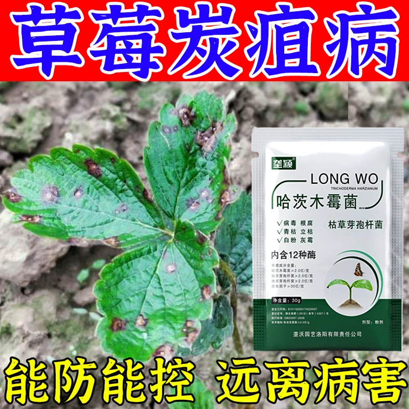 草莓炭疽病专用杀菌剂草莓病全治叶斑病白粉病根腐病灰霉病叶面肥