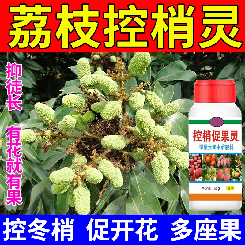 荔枝控梢促花素专用水剂荔枝杀梢素促花促果增产提质促花剂