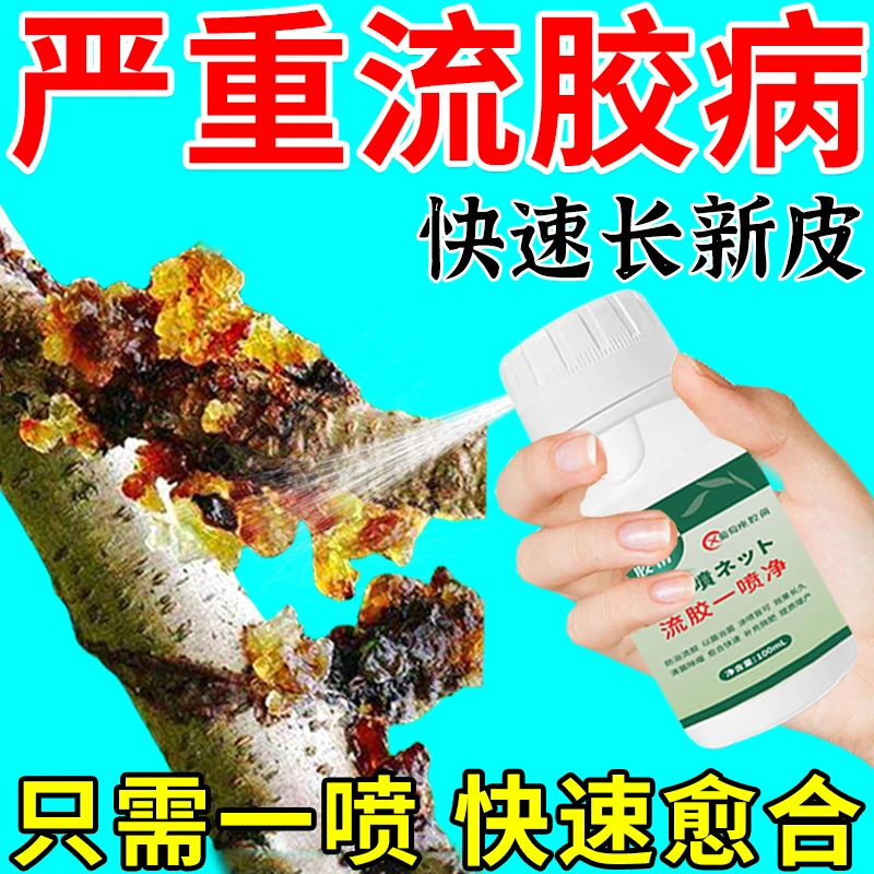 流胶病专用流胶一喷净桃树流胶病柑橘果树溃疡病腐烂病流胶穿孔净