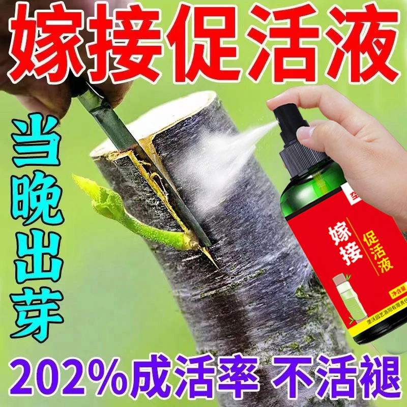 嫁接促活液树木伤口愈合剂盆栽移植伤口消炎愈合促成活快速发芽剂