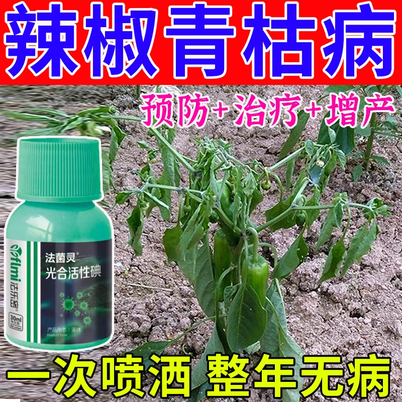 辣椒病杀菌剂增产叶面肥【预防+治疗】辣椒青枯病疫病炭疽病通用