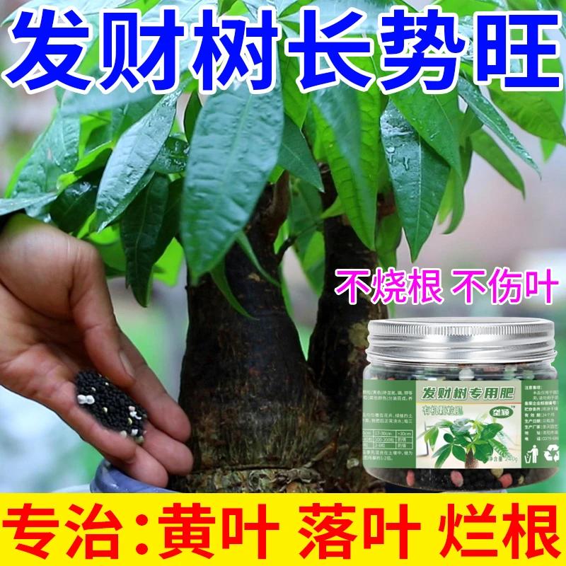 发财树肥料专用肥花肥盆栽家用通用型氮磷钾花卉植物颗粒缓释肥