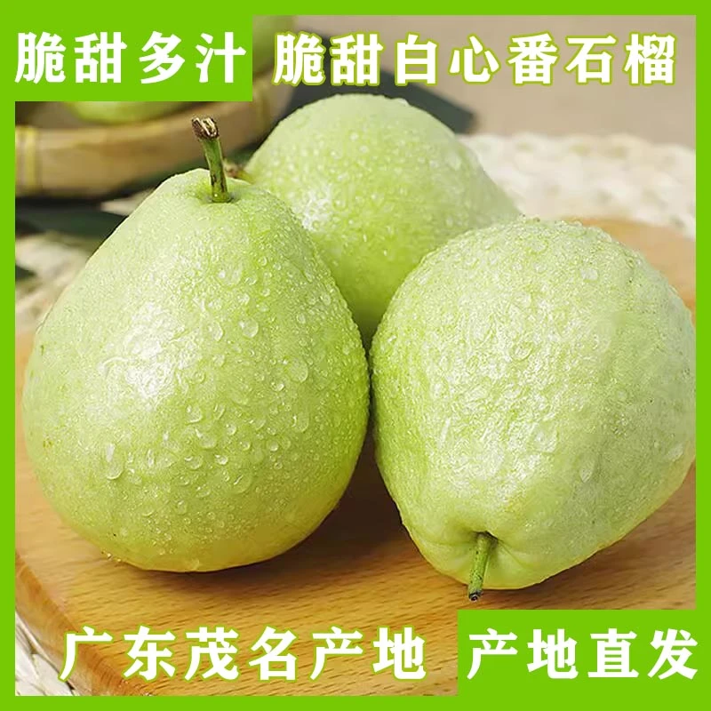 3斤/5斤树上新鲜现摘番石榴白心芭乐低糖脆爽清甜应季水果广东