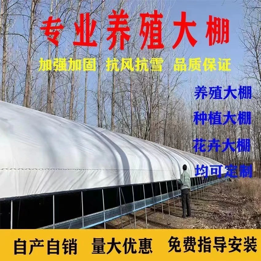 黑白膜养殖大棚塑料膜塑料薄膜塑料布反光膜养鸡专用防水防晒隔热