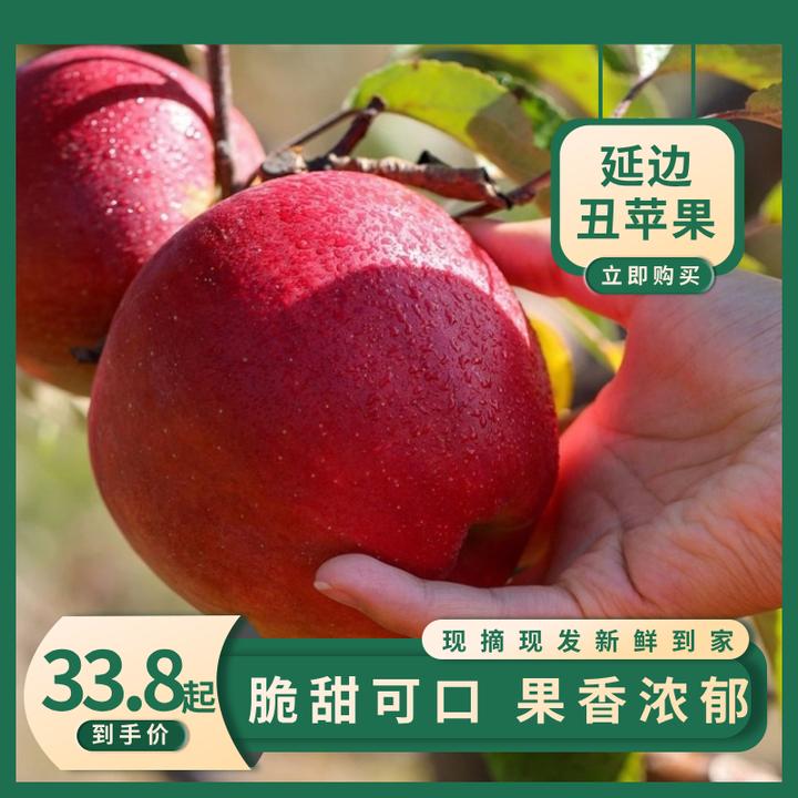 延边丑苹果 头茬现摘现发 皮薄多汁 脆甜可口