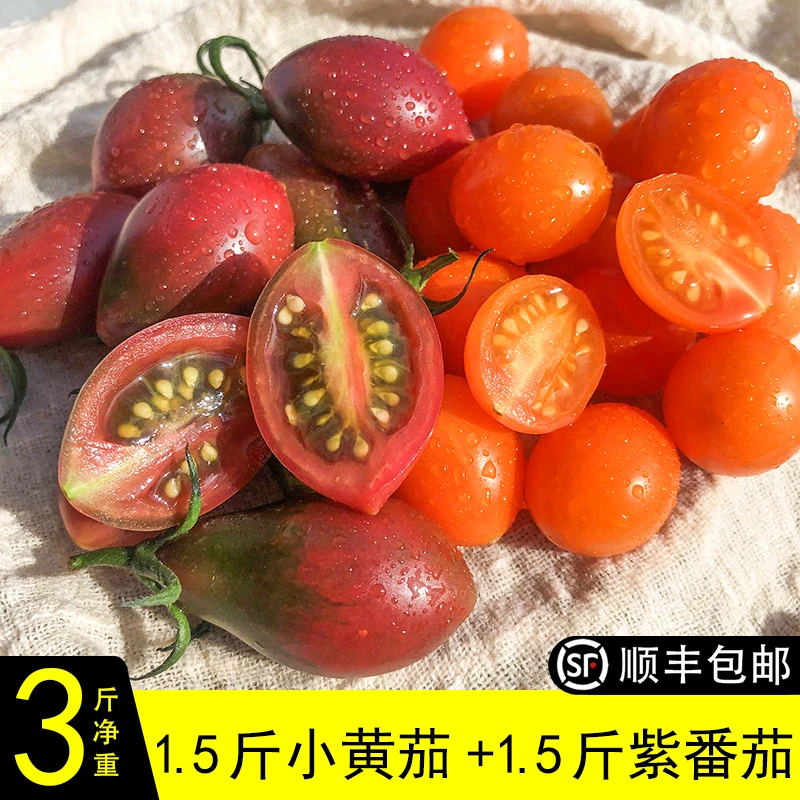 双拼福建珠珠小番茄3斤装  爆汁新鲜子弹小西红柿圣女果 顺丰发货