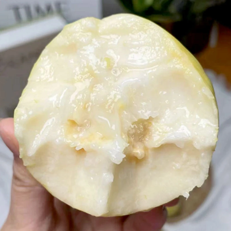【放牛妹芯芯】白心奶油芭乐3斤  香甜新鲜水果清甜低糖