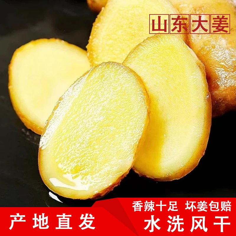 山东大姜原产农家自种无泥干姜姜块包赔浓郁干净老姜新鲜蔬菜