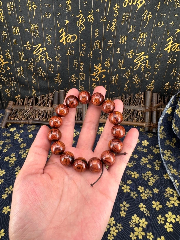 E17海黄多尺寸鬼脸品相随机多样性发一