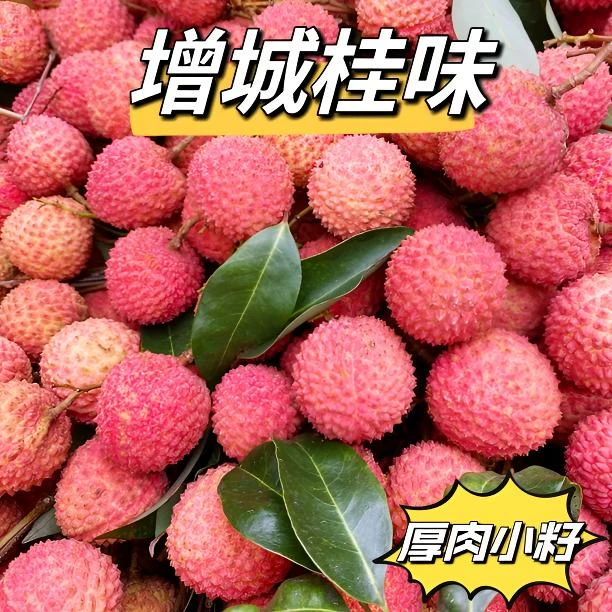 【广东省外】增城桂味荔枝现摘现发小籽厚肉有蜜香味顺丰京东包邮
