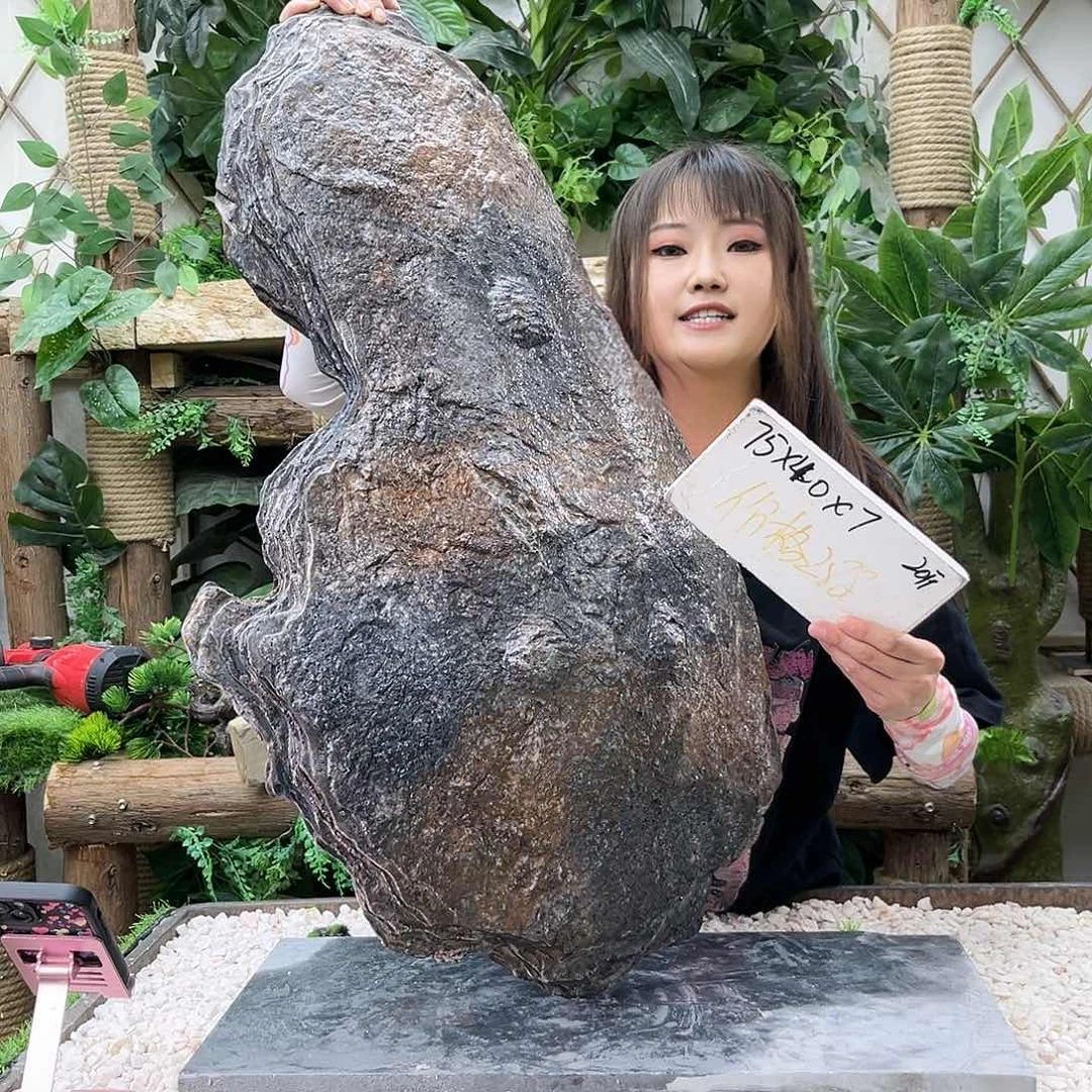 盆景等艺术品p5-005