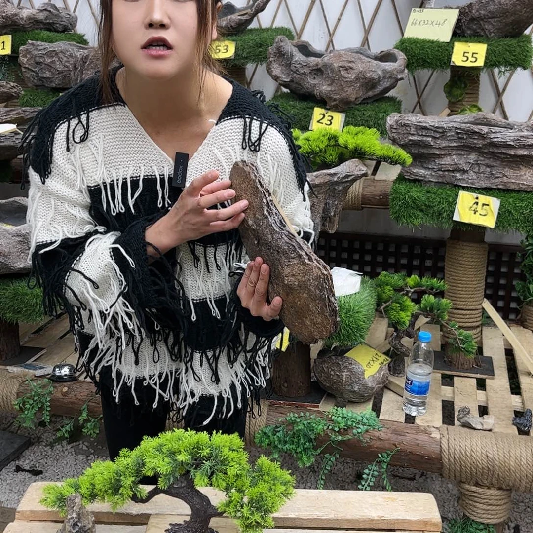 复合20CM以下花盆p5-002