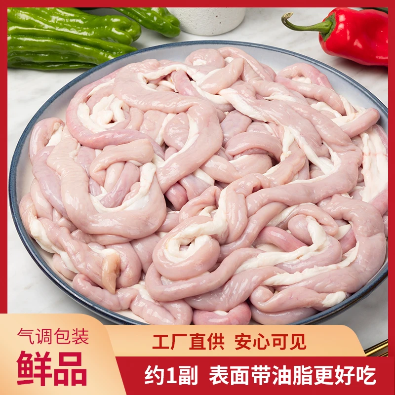 猪小肠苦肠粉肠5斤装保鲜发货不冷冻内三元粮食猪