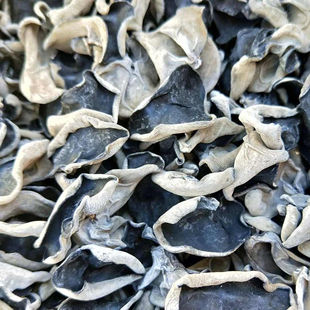 梵净山 营养黑木耳肉质