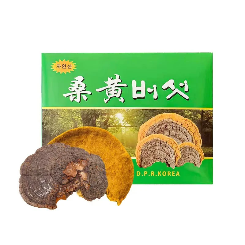 桑树桑黄自治区自然生长正宗桑树叶黄泡茶品质甄选营养可搭枸杞