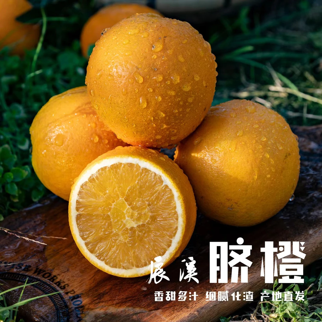 湖南辰溪脐橙海拔800米高山种植新鲜采摘当季水果产地直发5/9斤装