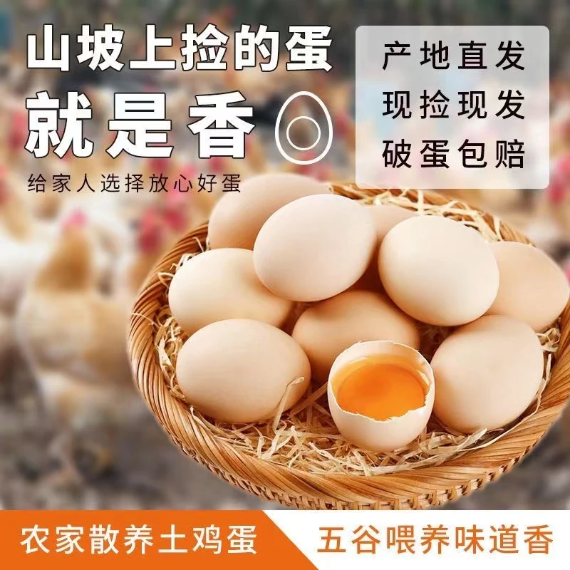农村散养土鸡蛋草鸡蛋