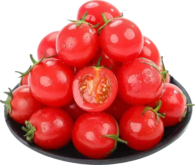 广西圣女果小番茄自然熟酸甜到手四盒共2500g5斤