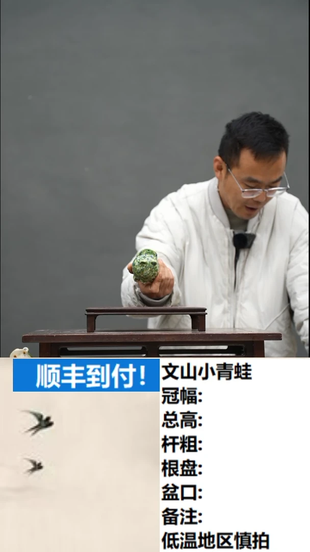 【闪购商品】4 文山小青蛙