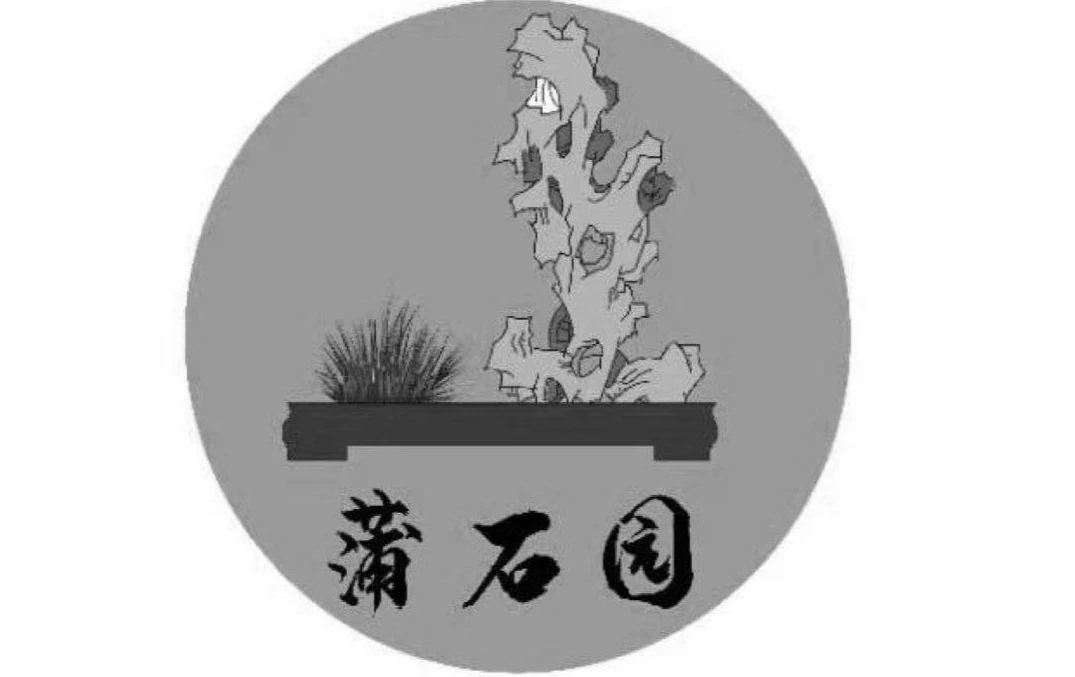 木语轩盆景直播链接 不包邮