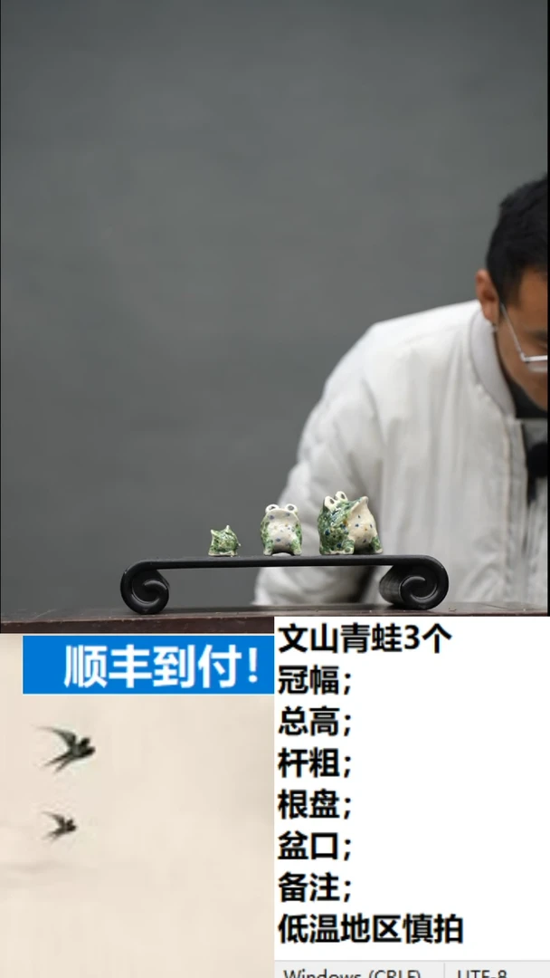 【闪购商品】12青蛙3个