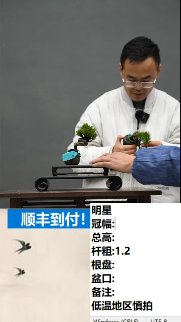 【闪购商品】1明星