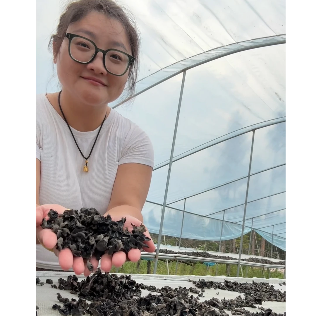 24年【7月新采】东北黑木耳 优选伊春木耳  肉厚无根 超高泡发率