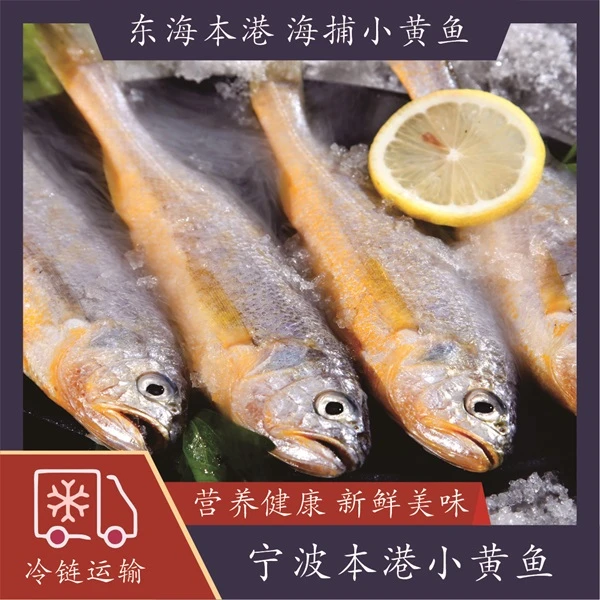 【海燕家生鲜】东海本港小黄鱼 6条/斤/袋*4袋 共24条 速冻锁鲜