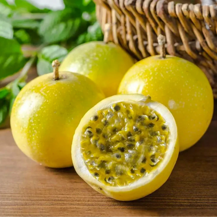 秋季甜蜜蜜百香果