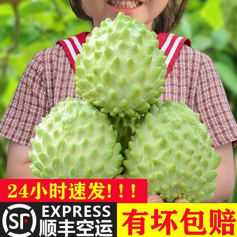 【顺丰+礼盒】新鲜凤梨释迦水果当季牛奶释迦佛头摩尼果释迦3/5斤